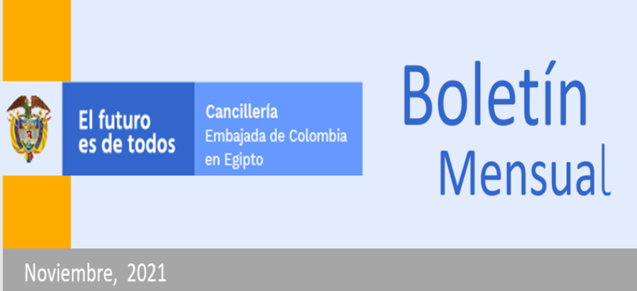 Boletin mensual noviembre